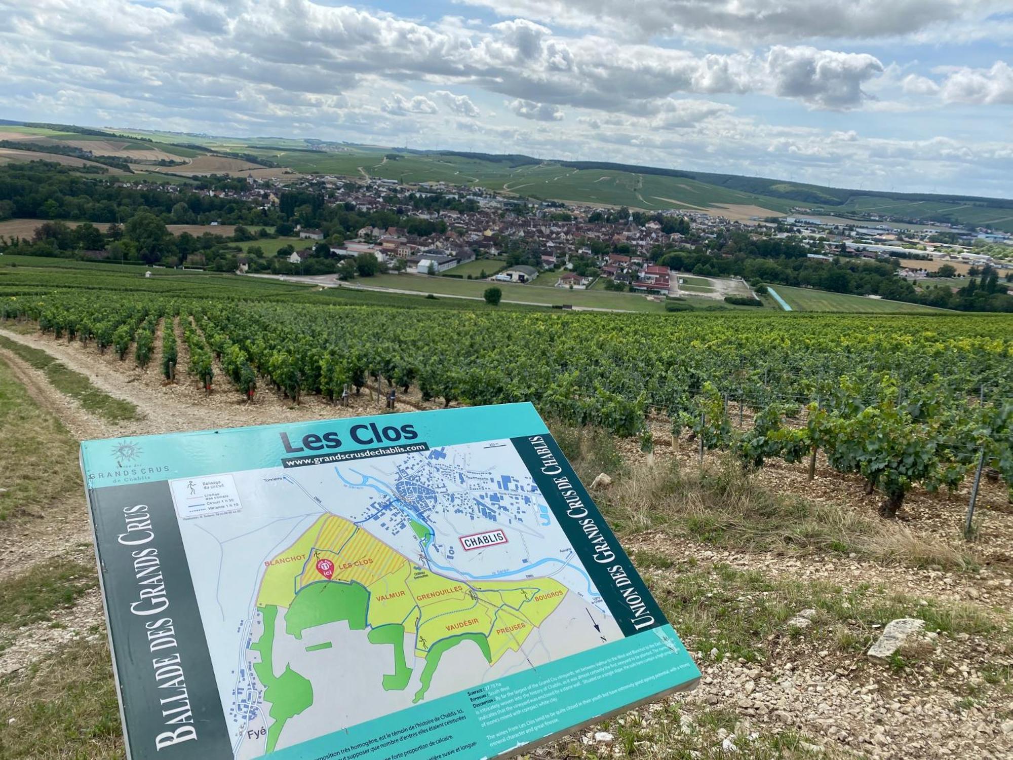 Le Merrain Gite Plein Coeur De Chablis Exterior foto